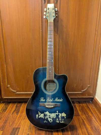 Professional Acoustic Guitar