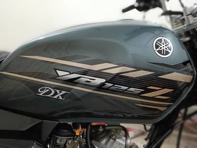 YAMAHA YB 125Z DX 2023 GRAY