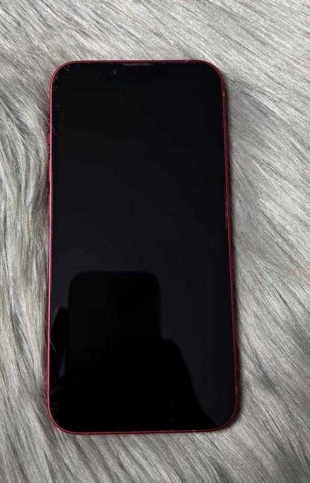 Apple iPhone 13 1
