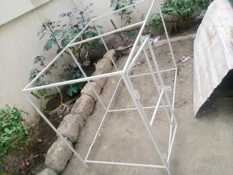 rabbit and cage frame for sell urgent — photo 12