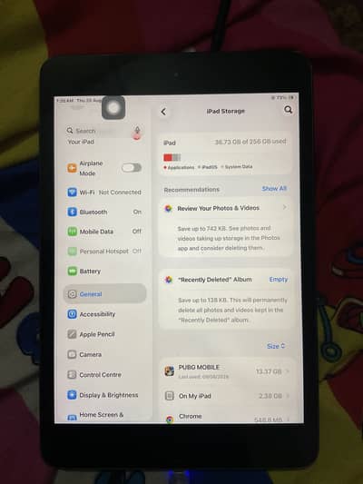 Ipad mini 5 Cellular + wifi 256 gb