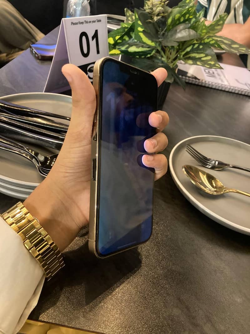 Apple iPhone 12 Pro Max 2