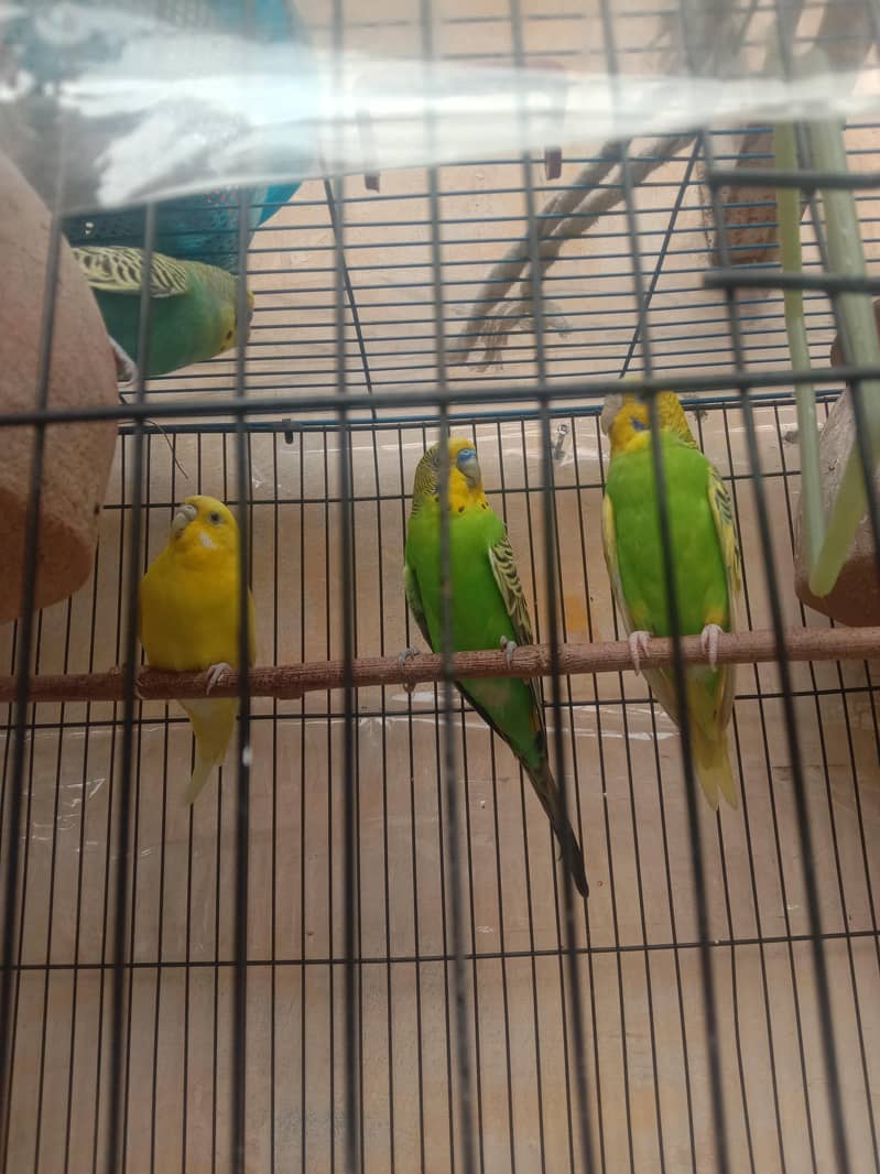 hello 0
