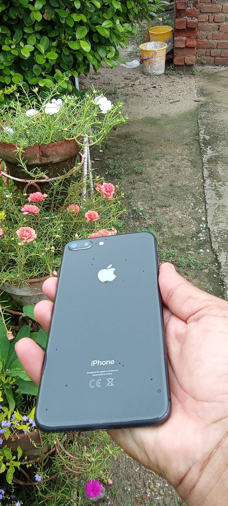 Apple iPhone 8 Plus 0
