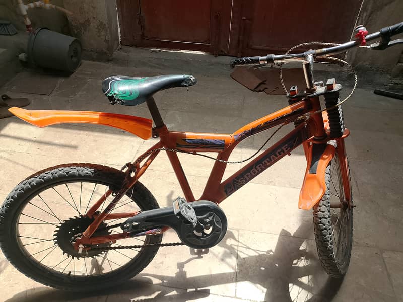 Sportage cycle 1