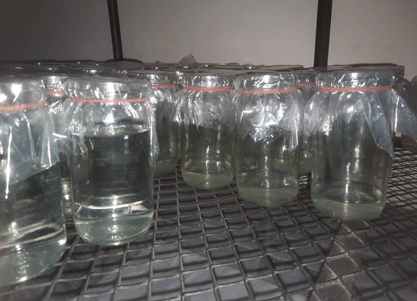 Used Jam jars 0