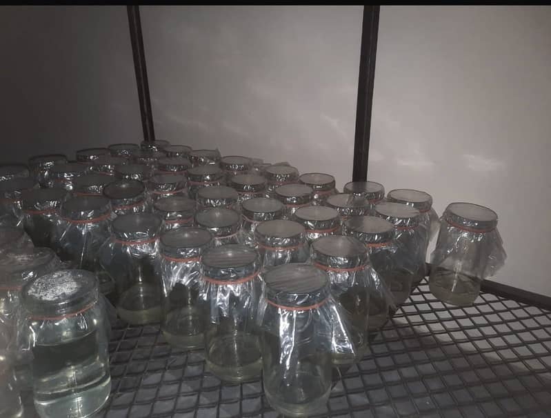Used Jam jars 1