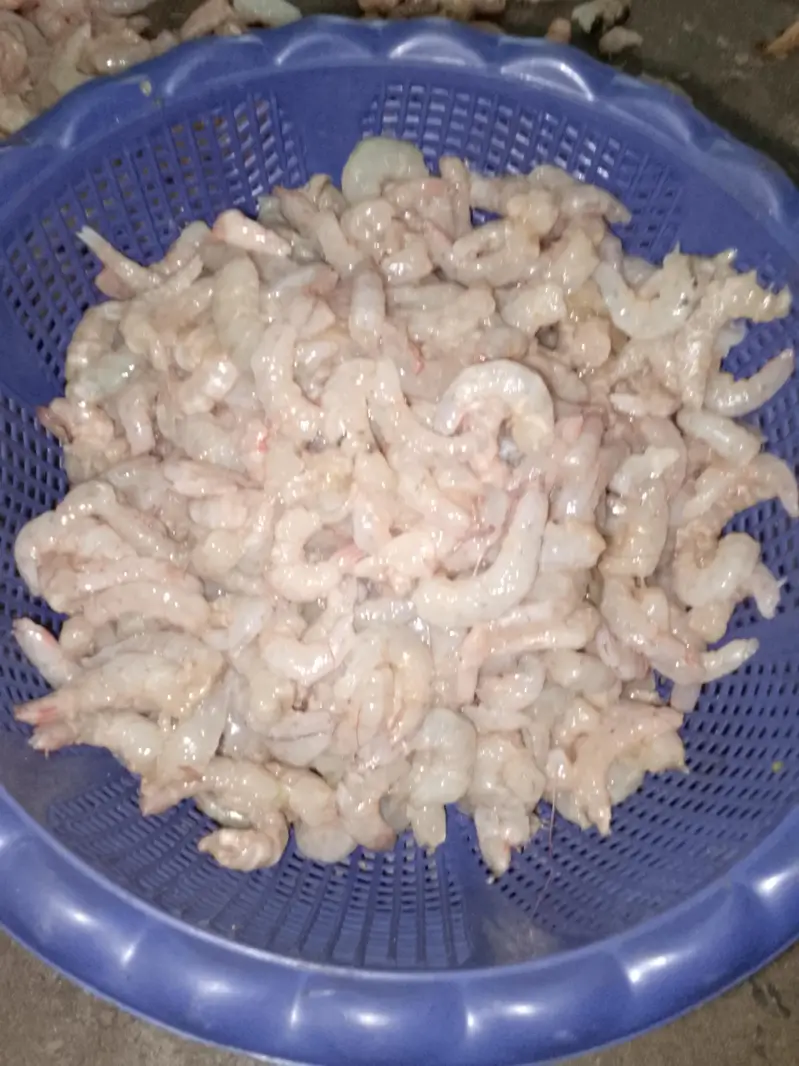 Fresh Cleaned Jhinga – Kharadar Karachi — photo 2