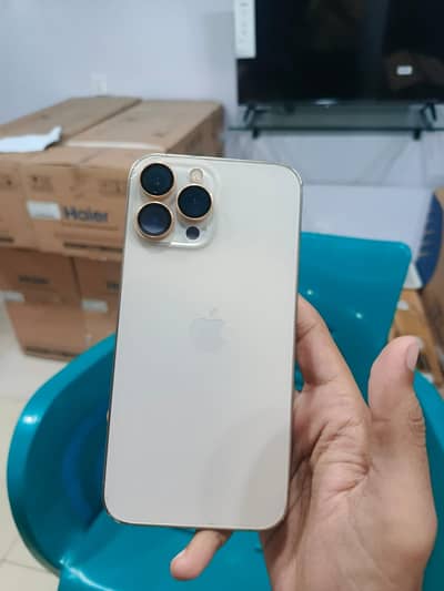 Apple iPhone 13 Pro Max
