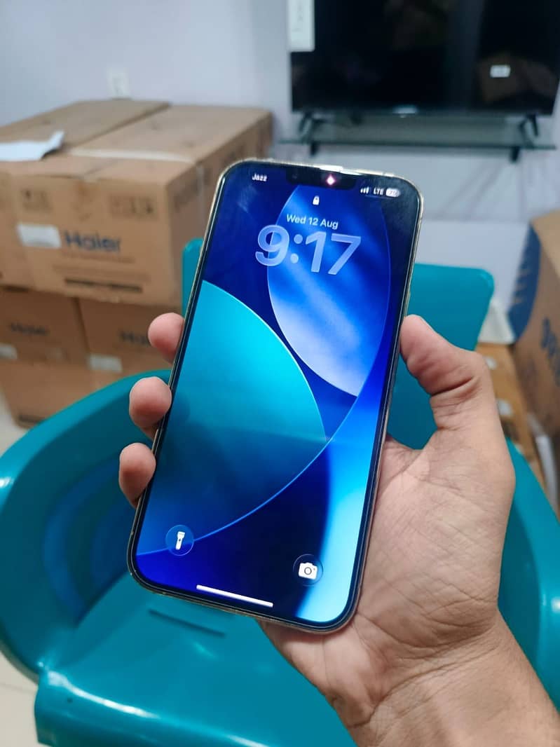 Apple iPhone 13 Pro Max 3