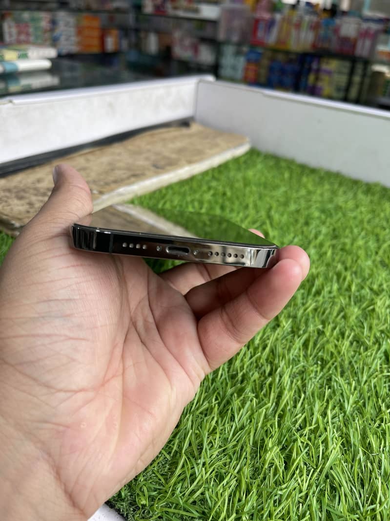 Apple iPhone 13 Pro Max 1