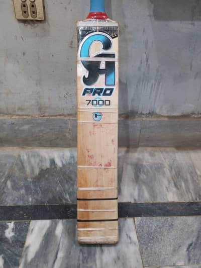 Ca pro 7000 English willow bat