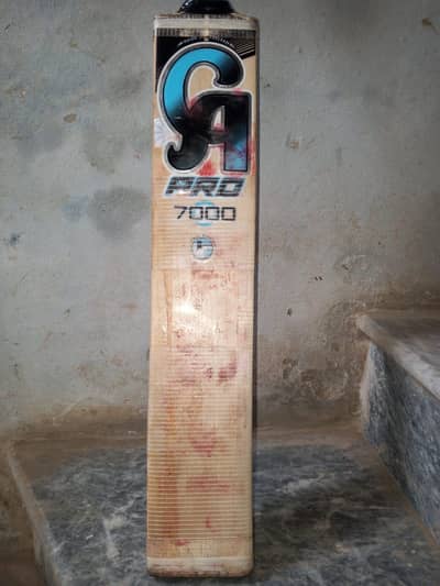 Ca pro 7000 English willow bat