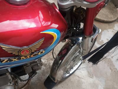 03153131133