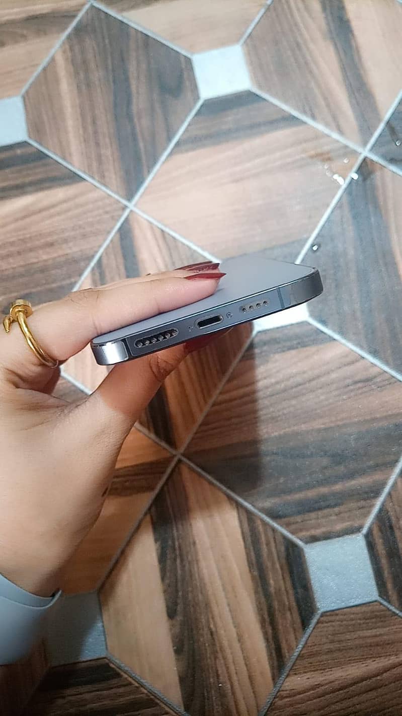 Apple iPhone 13 Pro Max 1
