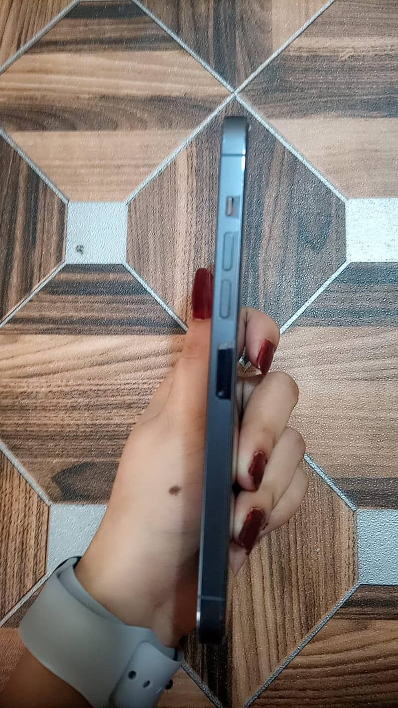 Apple iPhone 13 Pro Max 2