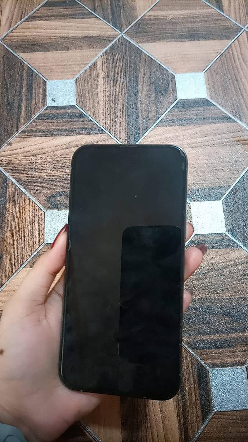 Apple iPhone 13 Pro Max 7