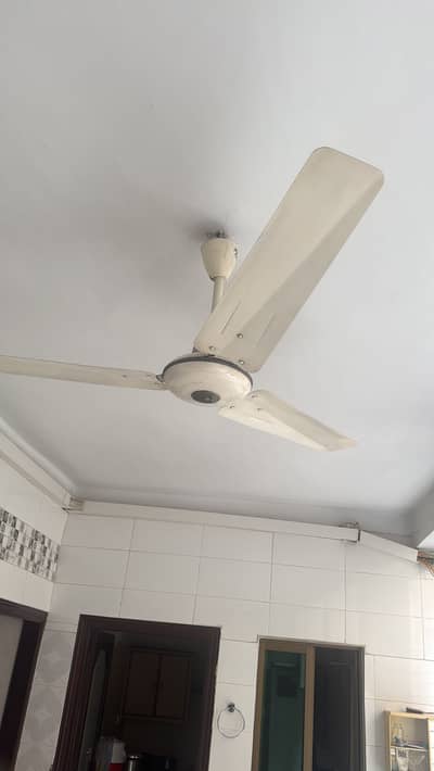 GFC Ceiling Fan 56 inch