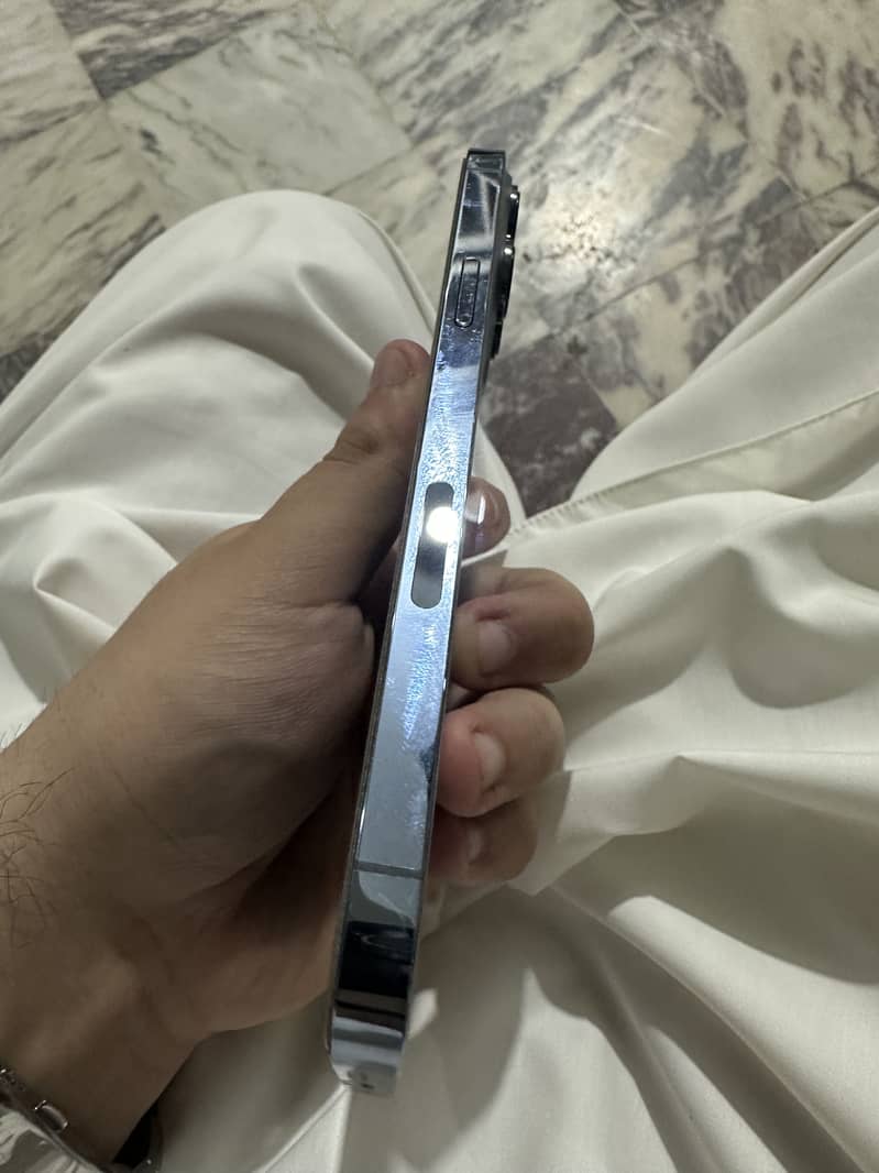Apple iPhone 13 Pro Max 1