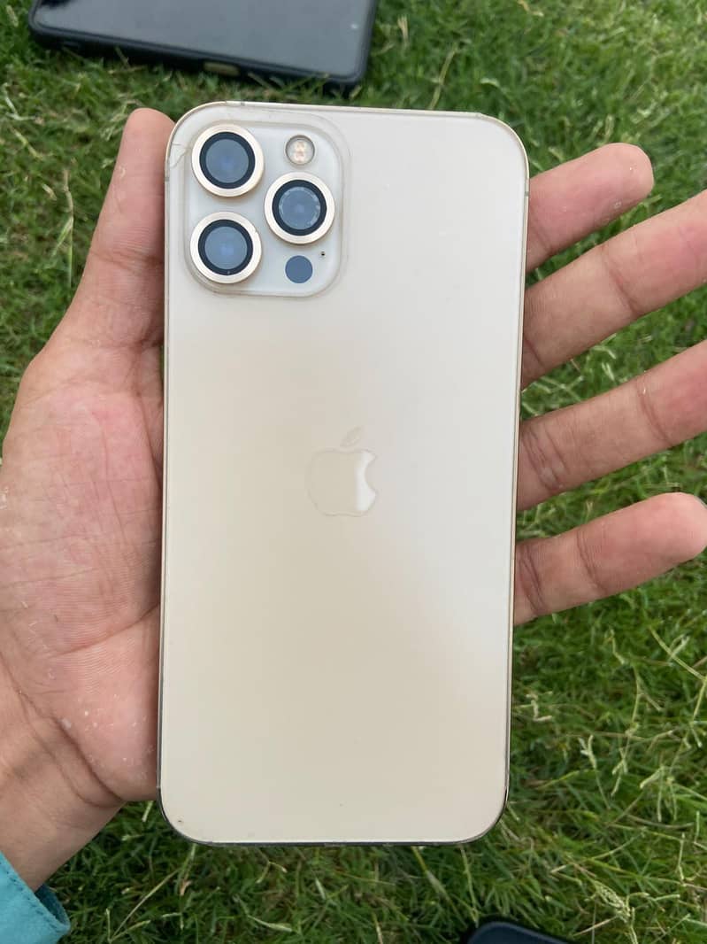 Apple iPhone 12 Pro Max 1