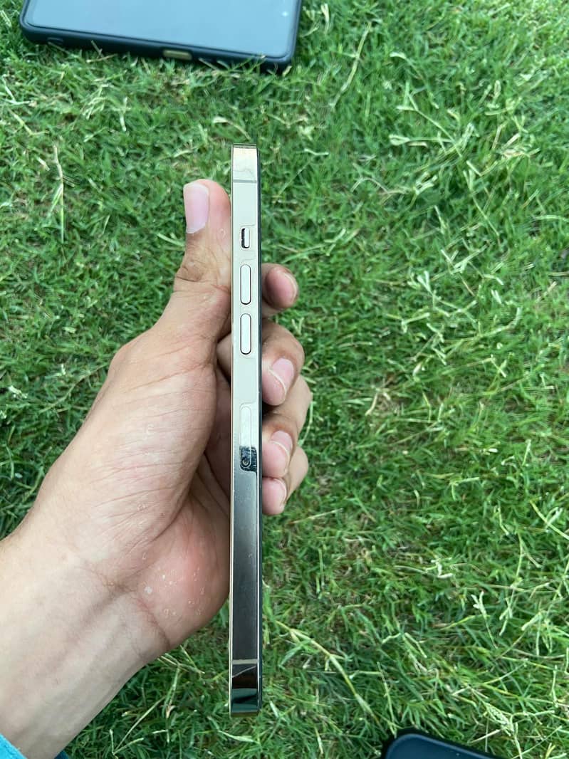 Apple iPhone 12 Pro Max 4