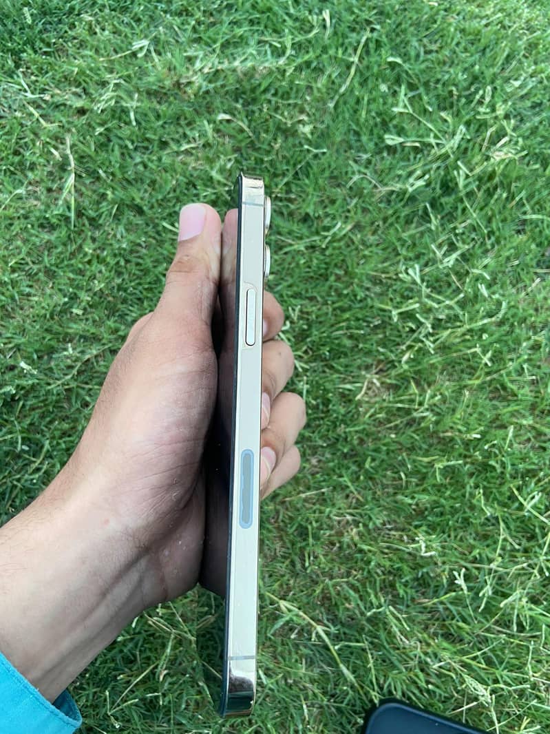 Apple iPhone 12 Pro Max 6
