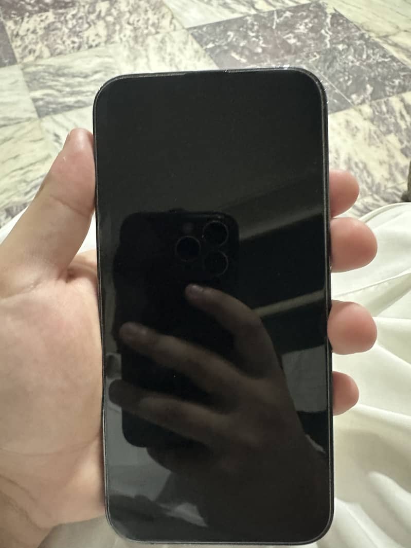 Apple iPhone 13 Pro Max 2