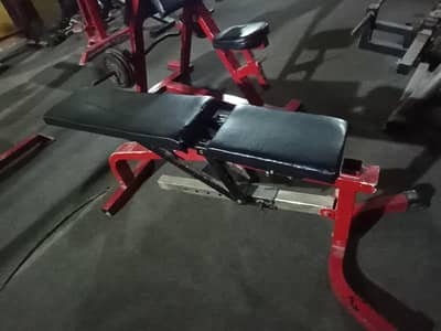 dumbbell press banch