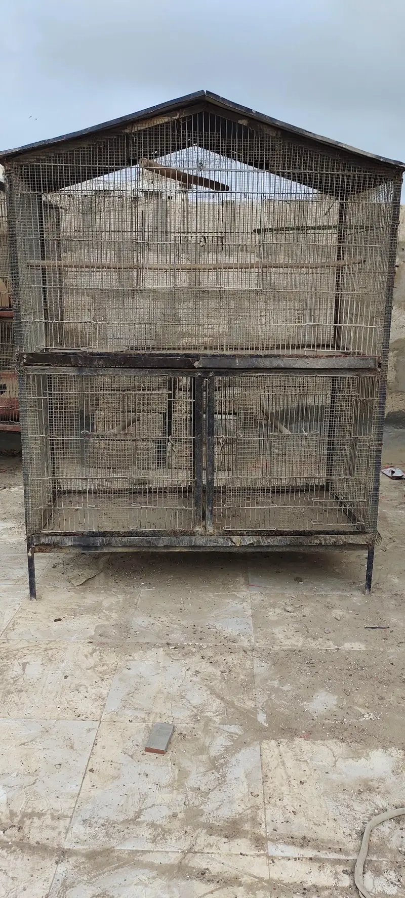 parrots cage — photo 2