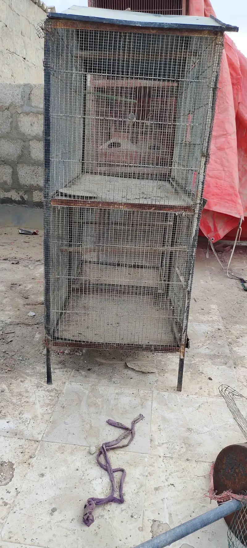 parrots cage — photo 3
