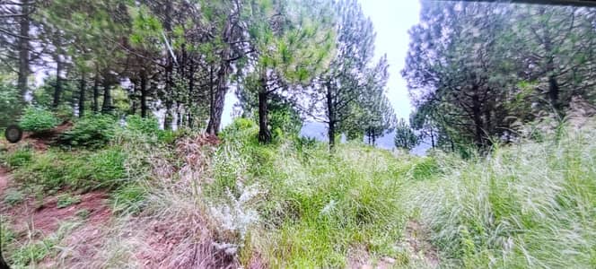 3 Marla Residential Plot For SALE Town Ship Scheme Sector F- 3