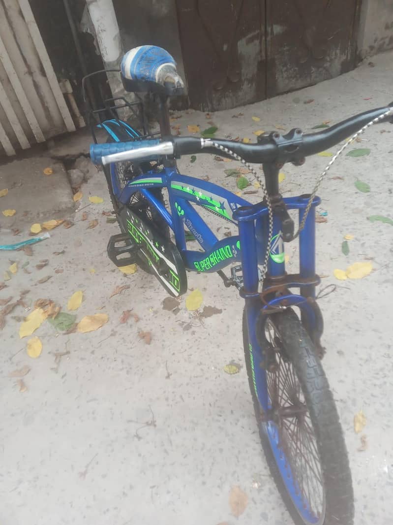 cycle for school students 1