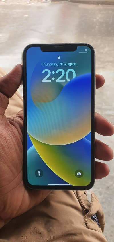 Apple iPhone X