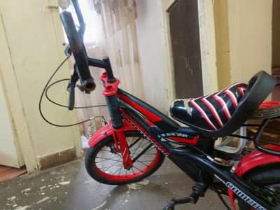 sport cycle