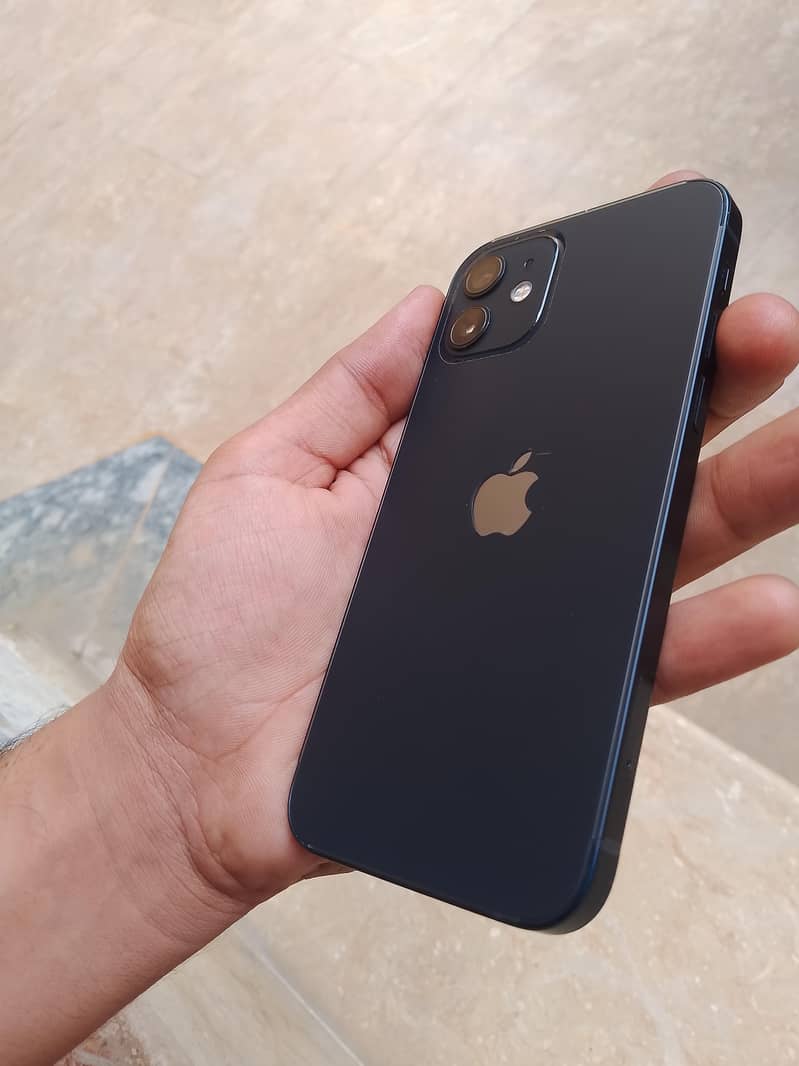 Apple iPhone 12 1