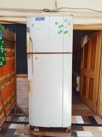 Fridge Large size