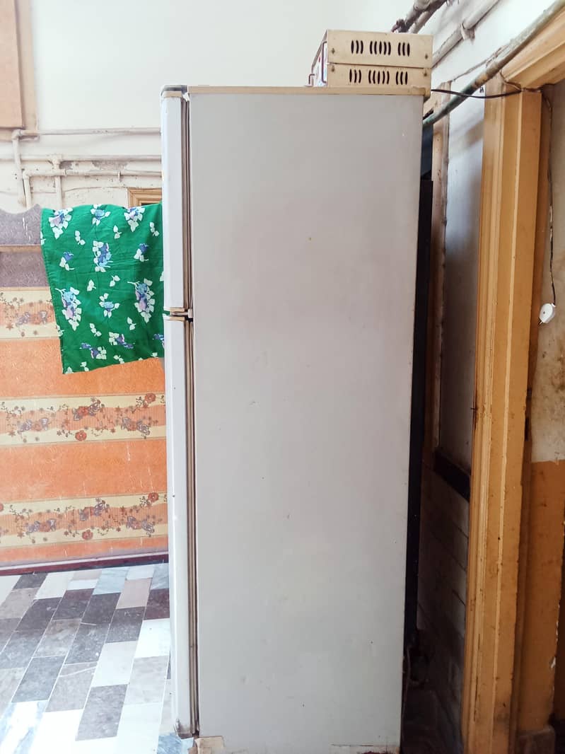 Fridge Large size 1