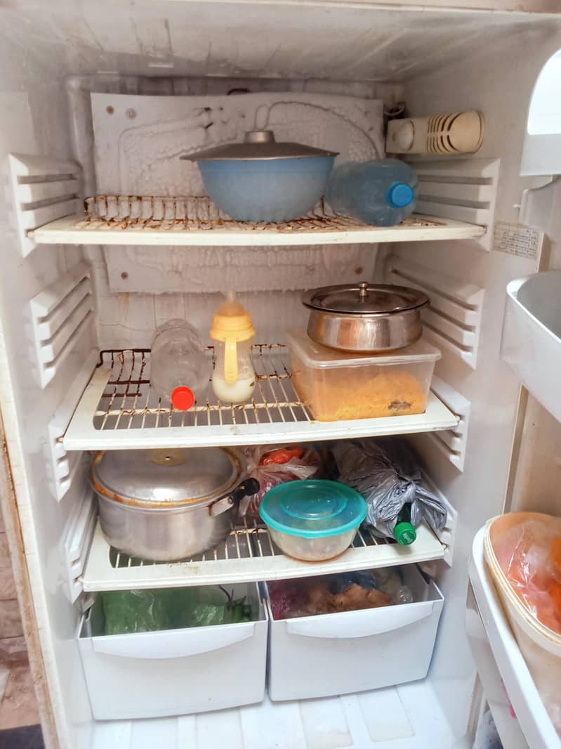 Fridge Large size 4