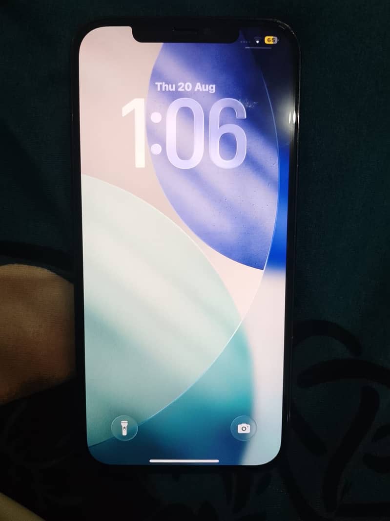 Apple iPhone 12 Pro Max 3
