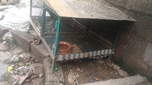 iron Cage for sale 03335224498