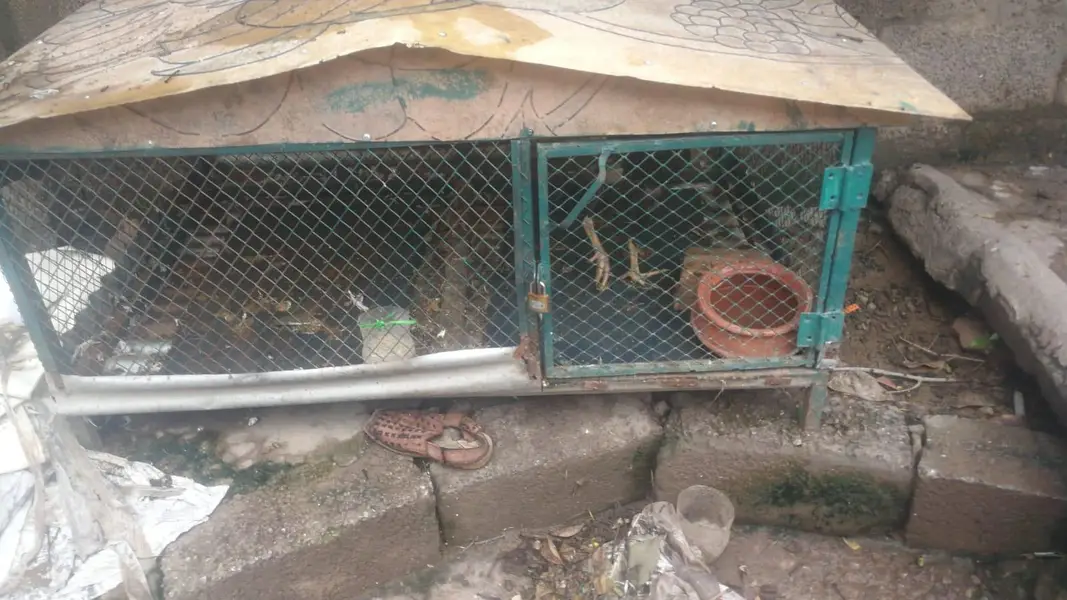 iron Cage for sale 03335224498 — photo 2