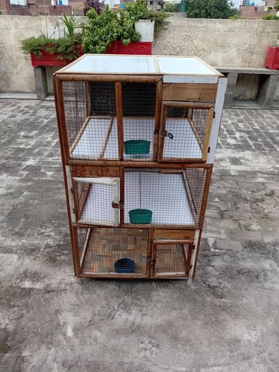 Best Cage in Less Price