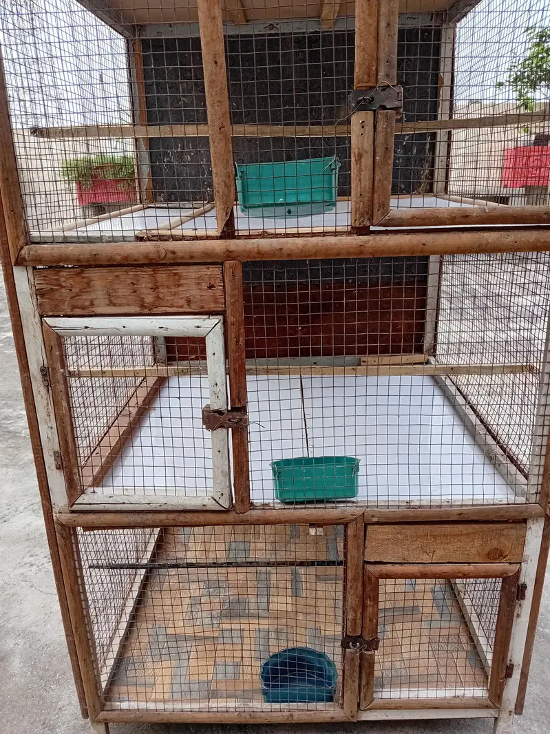 Best Cage in Less Price — photo 2