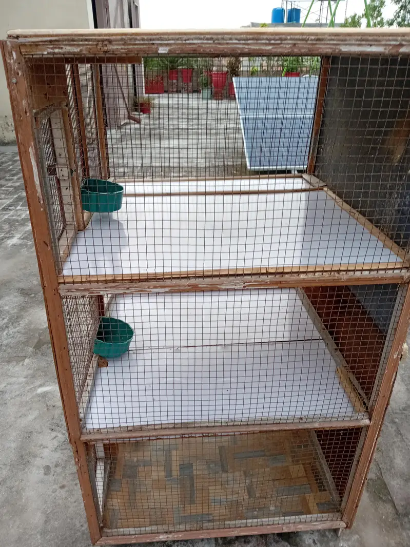 Best Cage in Less Price — photo 3