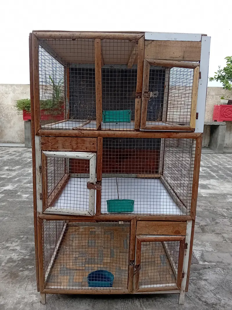 Best Cage in Less Price — photo 4