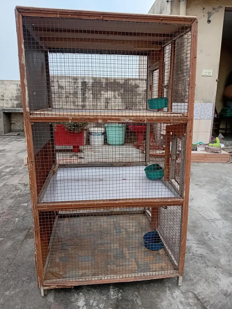 Best Cage in Less Price — photo 5