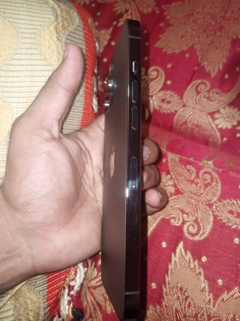 Apple iPhone 12 Pro Max 9
