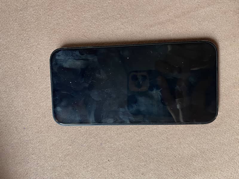 Apple iPhone 13 0