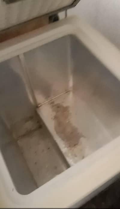 old waves freezer