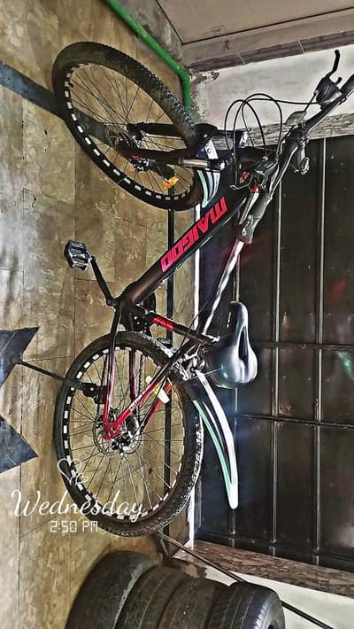 Mountain bike
